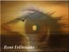 Foto de Rose Felliciano